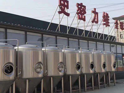 盱眙精酿啤酒设备厂—市场规模与跨界新需求